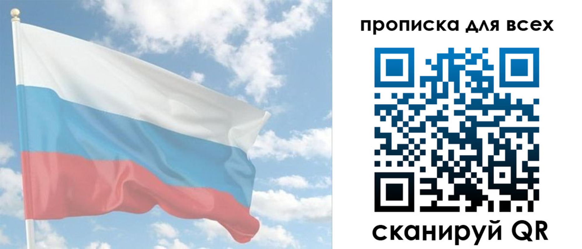 прописка поиск в Владимире